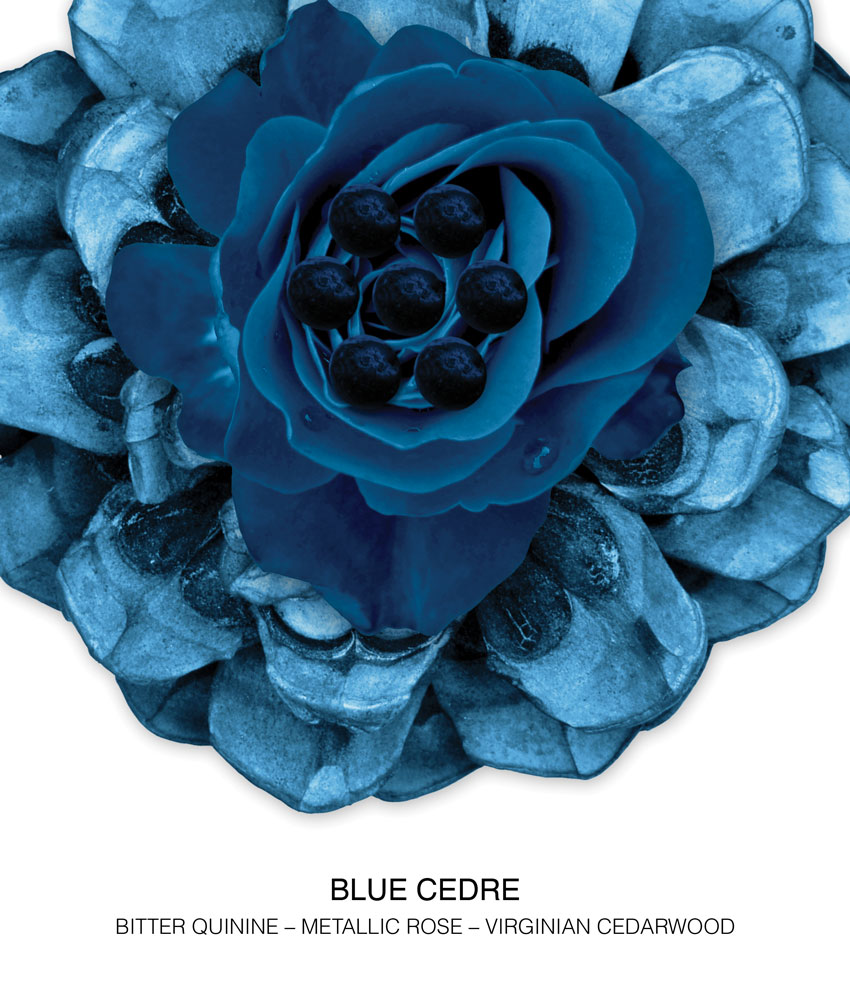 Comme des Garçons - Perfume Blue