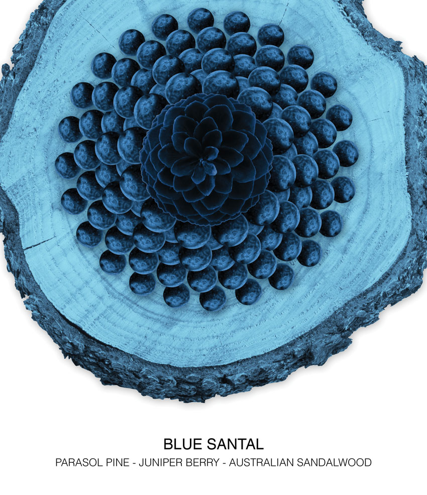 Comme des Garçons - Perfume Blue