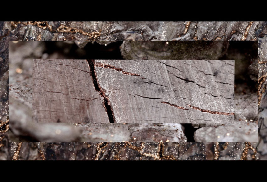 Comme des Garçons - Perfume Wonderoud